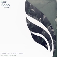Black Tulips (Temple One Remix)
