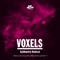 The Feeling (Koobra Remix) - Voxels lyrics