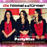 Alles Was Ich Will — Die Sterne
