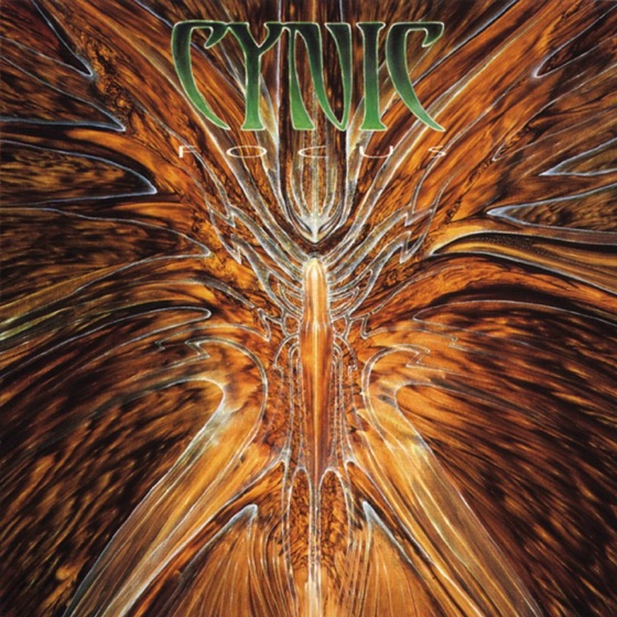 Cover artwork for Veil of Maya