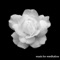 Sojourner (Christopher of the Wolves) - Various Artists lyrics