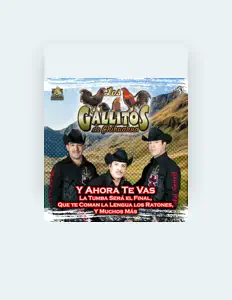 Listen to Los Gallitos de Chihuahua, watch music videos, read bio, see tour dates & more!