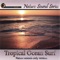 Tropical Ocean Surf (1 Hour) - Nature Sound Series lyrics