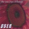 None of the Above - USER lyrics