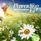 Bubalicious (Krummstoff Remix) - MidiDropMusic lyrics