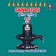 Shiva Stuti Vol 7 T S Ranganathan