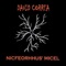 Beauty Enthroned in the Hand of Darkness - David Correa lyrics