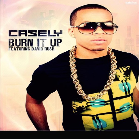Cover artwork for Burn It Up