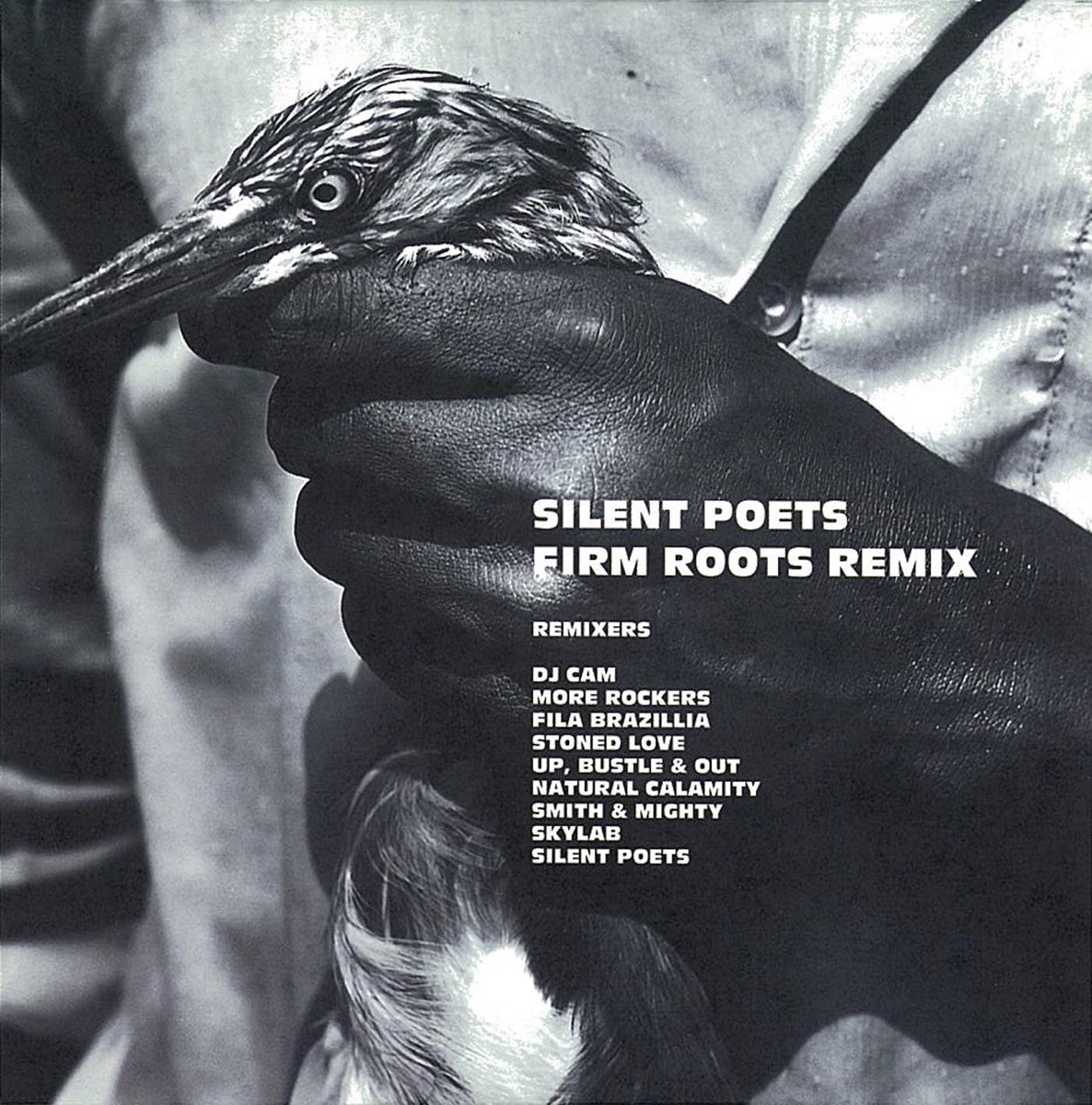 FIRM ROOTS REMIX - SILENT POETSのアルバム - Apple Music