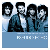 The Essential Pseudo Echo artwork