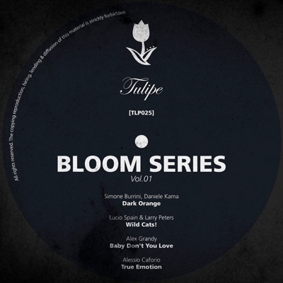 Bloom Series, Vol. 1 - EP