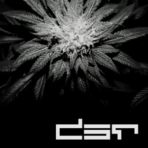 Drop Me / THC - Single