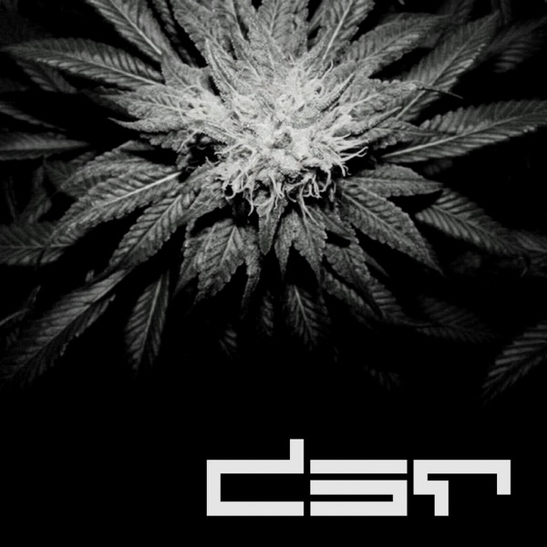 Drop Me / THC - Single