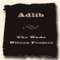 Front Back (feat. Pizzle, Tonye & Prophetic) - Adlib lyrics