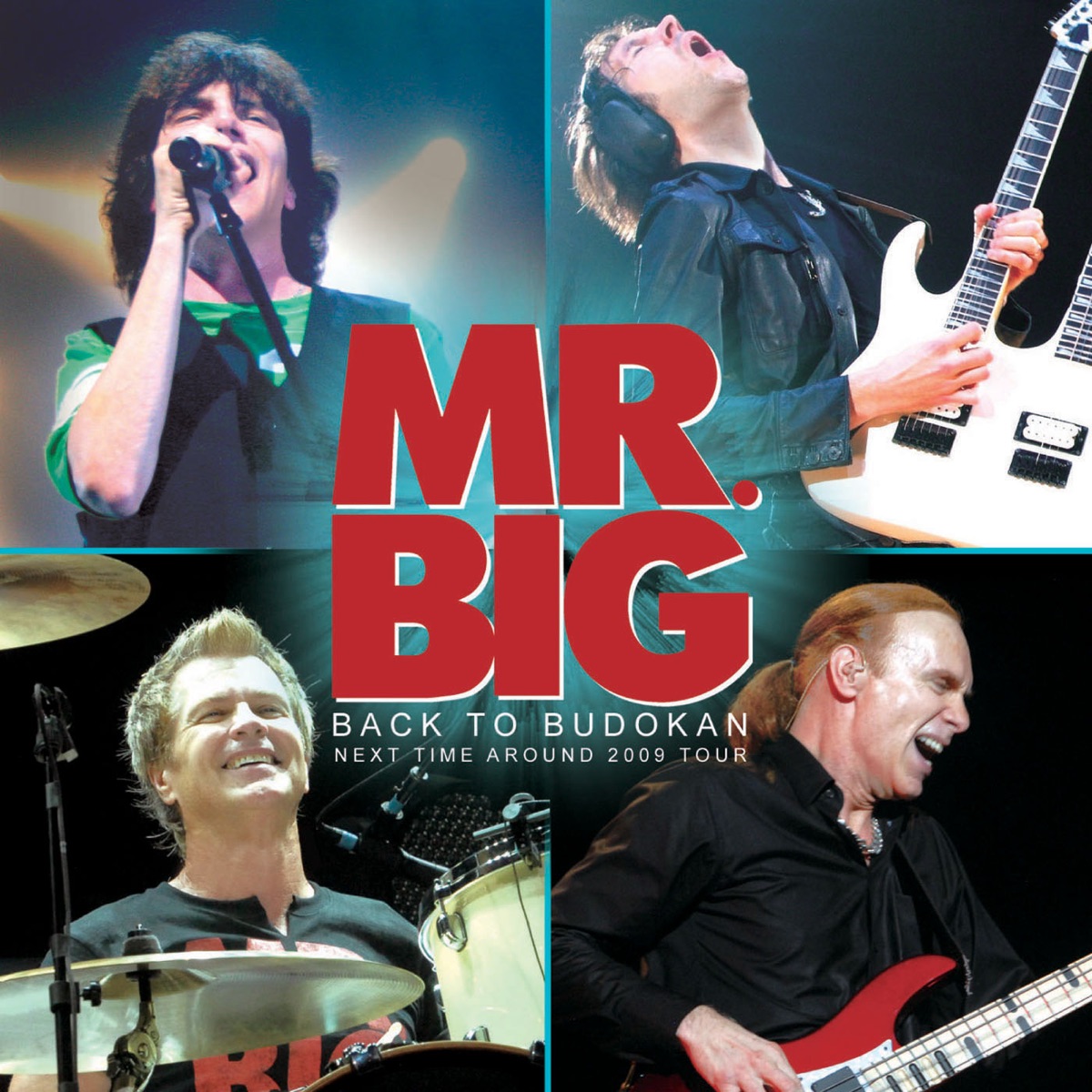 MR.BIG エリック・マーティン 1996 Tour ギターピック-