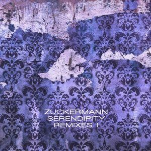 Serendipity Remixes I
