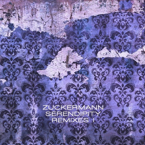 Serendipity Remixes I