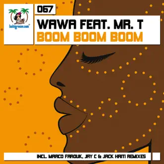 Boom Boom Boom (Remixes) [feat. Mr. T] - EP by WaWa album reviews, ratings, credits