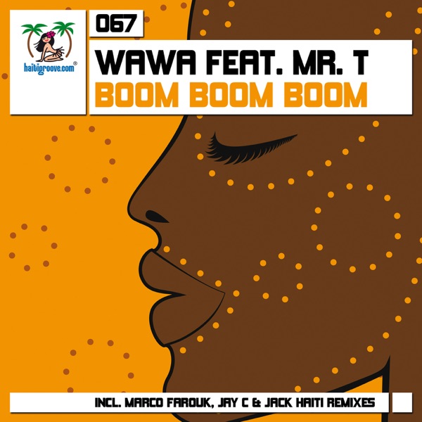 Boom Boom Boom (Remixes) [feat. Mr. T] - EP