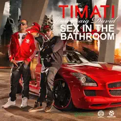 Sex in the Bathroom (feat. Craig David) [Remixes] - Single - Timati