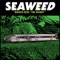 The Weight - Seaweed lyrics
