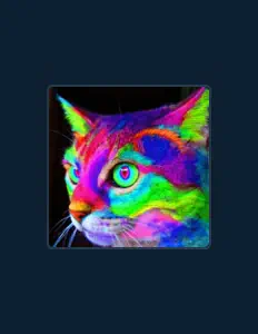 A Napadolを聴いたり、ミュージックビデオを鑑賞したり、経歴やツアー日程などを確認したりしましょう！