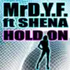 Mr DYF - Hold On (feat. Shena) [Freemasons Remix]