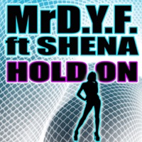 Mr DYF - Hold On (feat. Shena) [Freemasons Remix]