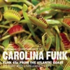 Carolina Funk, 2009