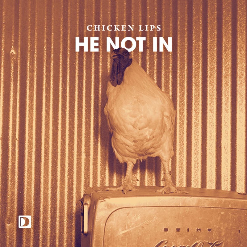 Курица песня слушать. Chicken Lips he not in. Курица музыка. Слушать песню Chicken Song. Chicken Lips DJ Kicks.