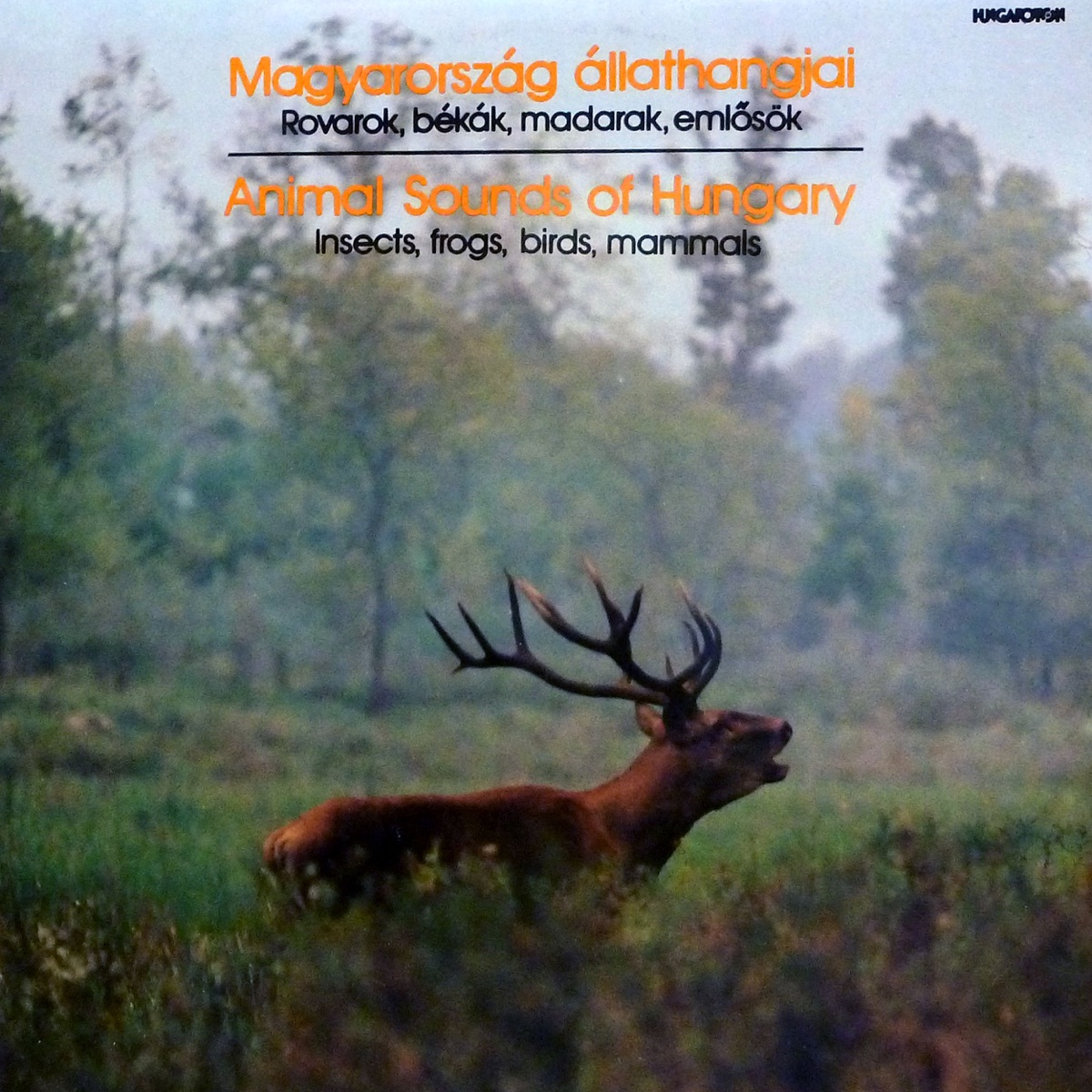 Magyarország állathangjai (Hungaroton Classics) by Ország Mihály on Apple  Music