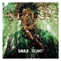 Saule - Home Sweet Home