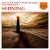 Shining Shining Shining (feat. Merldy B.) - Single