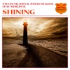 Shining Shining (Instrumental Mix) Shining (feat. Merldy B.) - Single