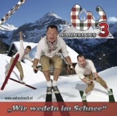 Wir Wedeln im Schnee - Single