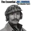 The Zawinul Syndicate - Carnavalito