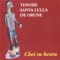 Tres rosas - Tenore Santa Lulla de Orune lyrics