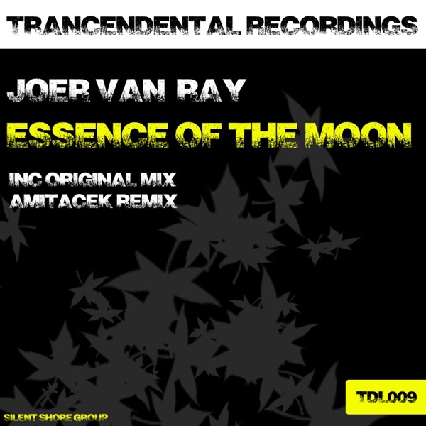Essence of the Moon - Single