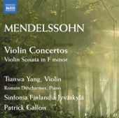 Violin Concerto in E Minor, Op. 64, MWV O14: II. Andante - artwork