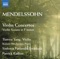 Violin Concerto in E Minor, Op. 64, MWV O14: II. Andante - artwork