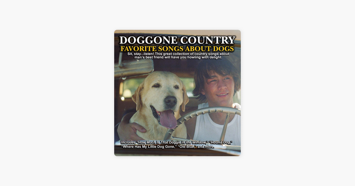 country songs with dogs
