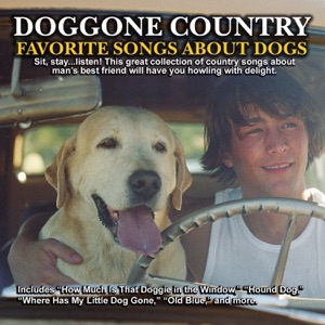 Layne Brooks - The Poodle Dog Song - Line Dance Music