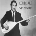 SARI YAZMA YAKISMAZMI GUZELE