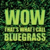 WOW That's What I Call Bluegrass!