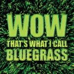 The Bluegrass Cardinals - I'm Just a Used to Be to You