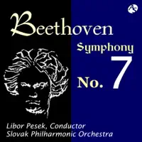 Symphony No. 7 In a Major, Op. 92: II. Allegretto — Slovak Philharmonic Orchestra & Libor Pesek