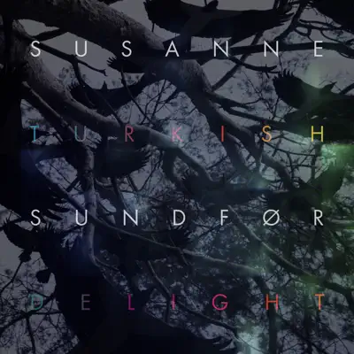 Turkish Delight (Remix) - EP - Susanne Sundfor