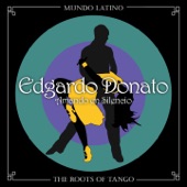 The Roots of Tango: Amando en Silencio artwork