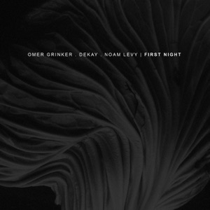 First Night - Single