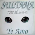 Te Amo Remix (Madgipsy Mix)